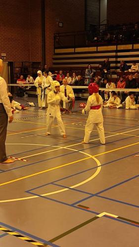 Kumite