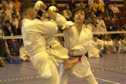Kumite