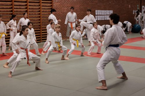 JKA Karaté Tournoi Interclub 2025 Arlon (Photos par Christophe