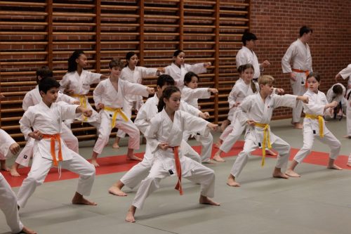 JKA Karaté Tournoi Interclub 2025 Arlon (Photos par Christophe
