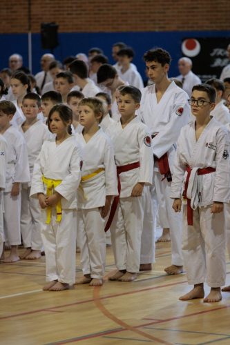 JKA Karaté Tournoi Interclub 2025 Arlon (Photos par Christophe