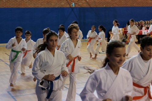 JKA Karaté Tournoi Interclub 2025 Arlon (Photos par Christophe