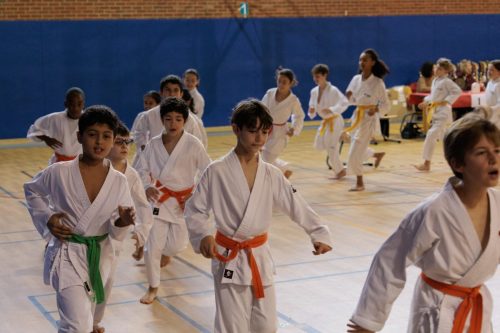 JKA Karaté Tournoi Interclub 2025 Arlon (Photos par Christophe