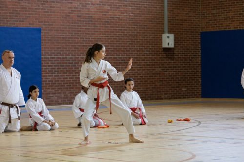 JKA Karaté Tournoi Interclub 2025 Arlon (Photos par Christophe