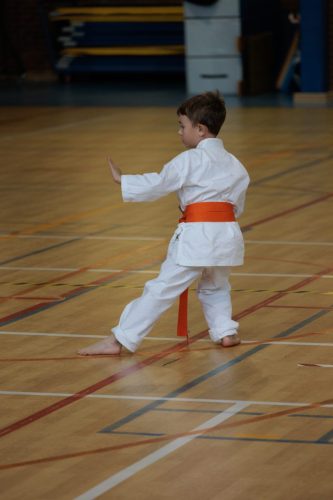 JKA Karaté Tournoi Interclub 2025 Arlon (Photos par Christophe