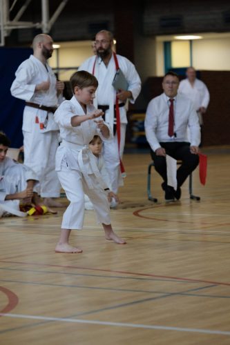 JKA Karaté Tournoi Interclub 2025 Arlon (Photos par Christophe