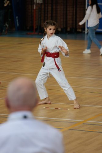 JKA Karaté Tournoi Interclub 2025 Arlon (Photos par Christophe