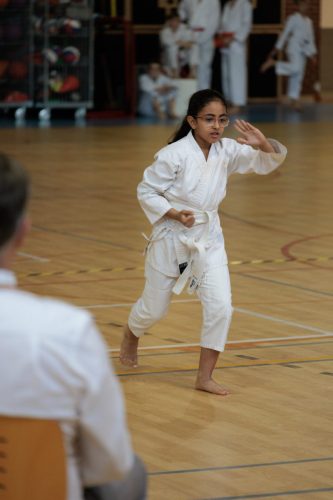 JKA Karaté Tournoi Interclub 2025 Arlon (Photos par Christophe