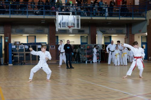 JKA Karaté Tournoi Interclub 2025 Arlon (Photos par Christophe