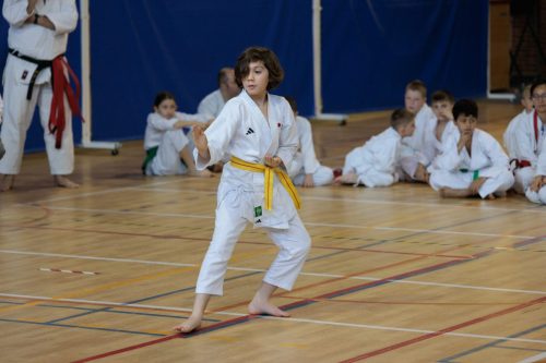JKA Karaté Tournoi Interclub 2025 Arlon (Photos par Christophe