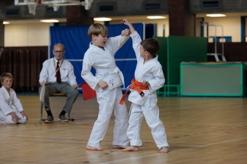 JKA Karaté Tournoi Interclub 2025 Arlon (Photos par Christophe