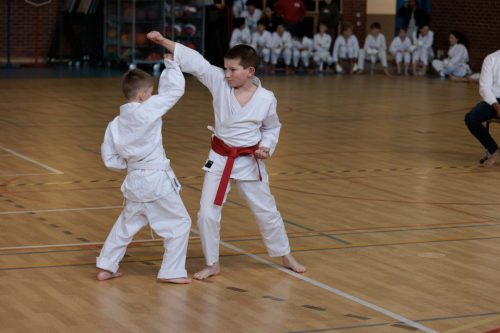 JKA Karaté Tournoi Interclub 2025 Arlon (Photos par Christophe