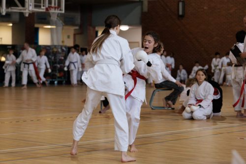 JKA Karaté Tournoi Interclub 2025 Arlon (Photos par Christophe
