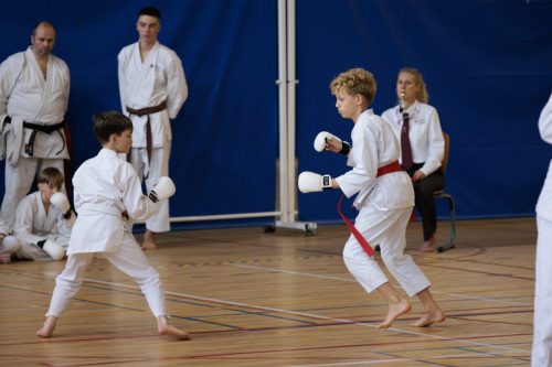 JKA Karaté Tournoi Interclub 2025 Arlon (Photos par Christophe