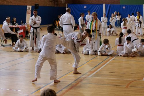 JKA Karaté Tournoi Interclub 2025 Arlon (Photos par Christophe