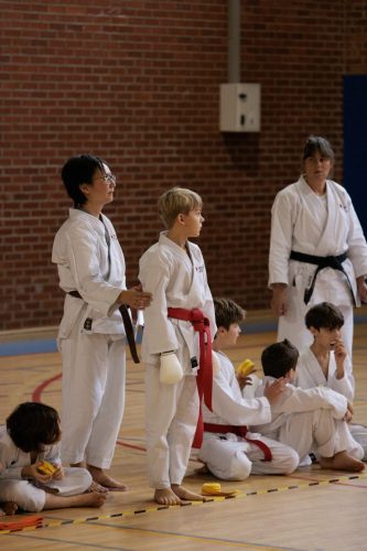 JKA Karaté Tournoi Interclub 2025 Arlon (Photos par Christophe