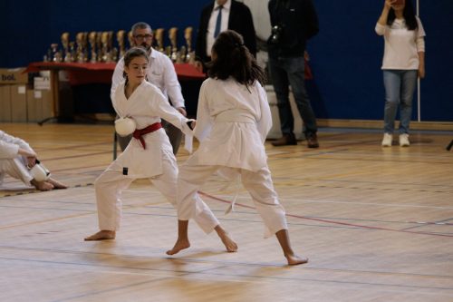 JKA Karaté Tournoi Interclub 2025 Arlon (Photos par Christophe
