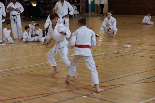 JKA Karaté Tournoi Interclub 2025 Arlon (Photos par Christophe