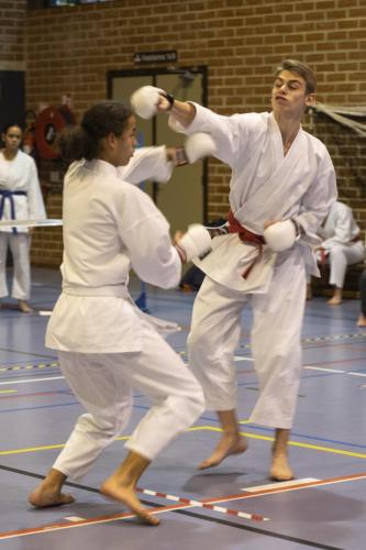 Kumite